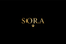 Sora 🐾 – Inicio